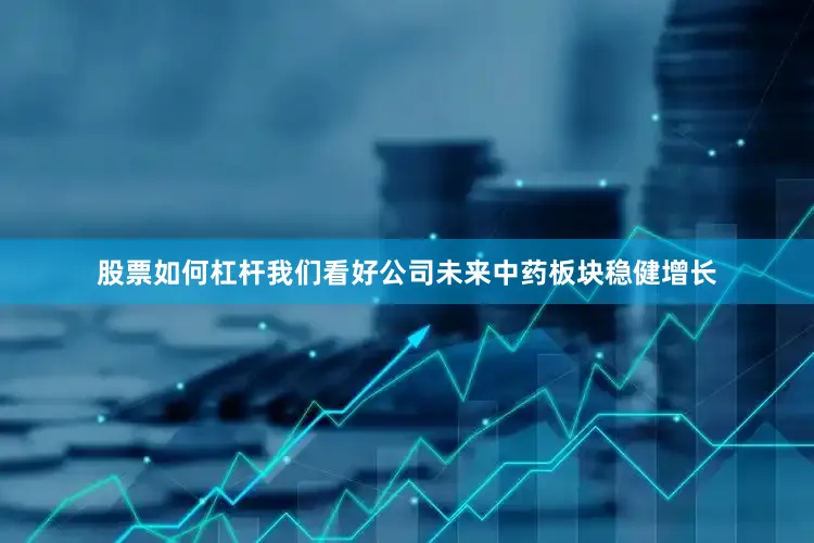 股票如何杠杆我们看好公司未来中药板块稳健增长