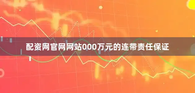 配资网官网网站000万元的连带责任保证